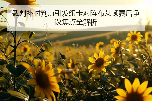 裁判补时判点引发纽卡对阵布莱顿赛后争议焦点全解析